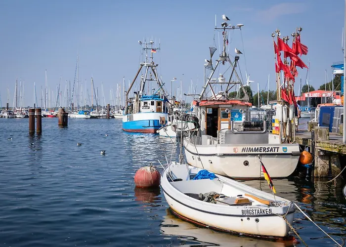 Muschel Apartamento *